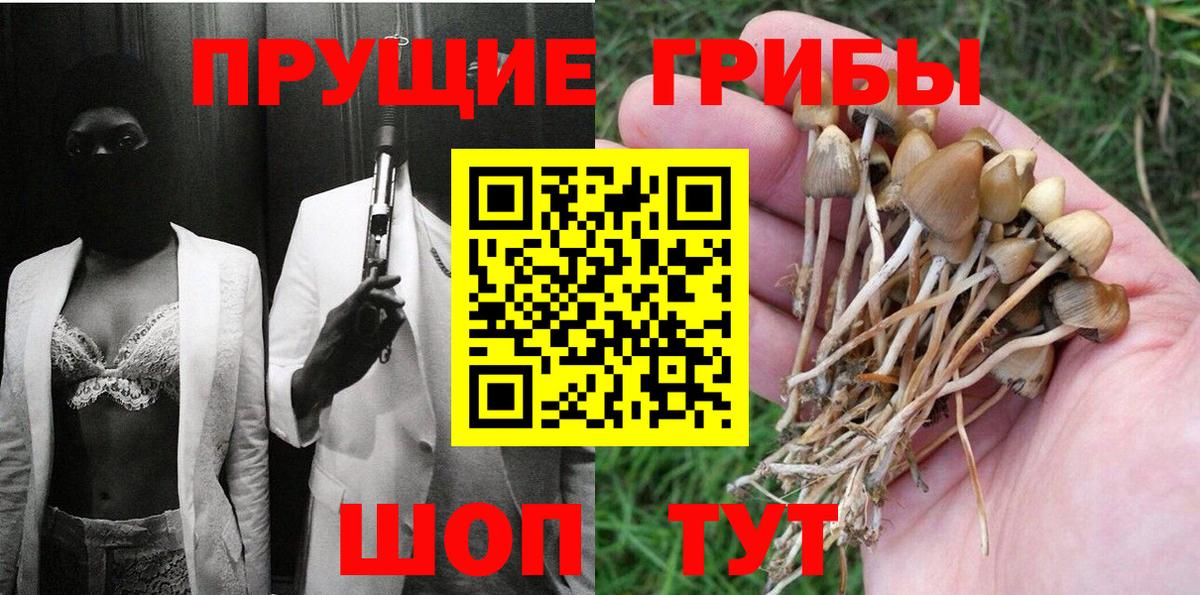 Махачкала  Псилоцибиновые грибы Cubensis  Вход с VPN  Галлюциногенные грибы MAGIC MUSHROOMS 